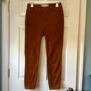 Soft Surroundings Rust Pants